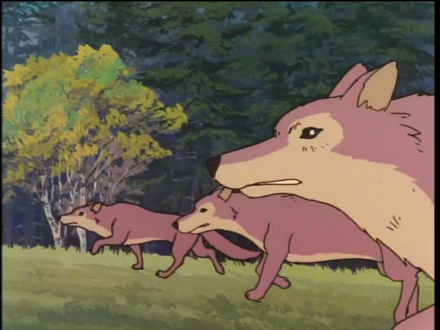 林を走る狼の親子